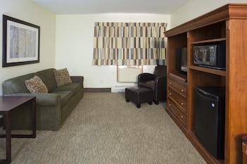 Superior Studio Suite, 1 King Bed (KING JUNIOR SUITE)