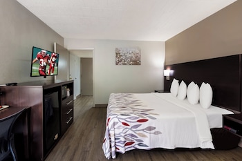 Superior Room, 1 King Bed, Non Smoking, Kitchenette