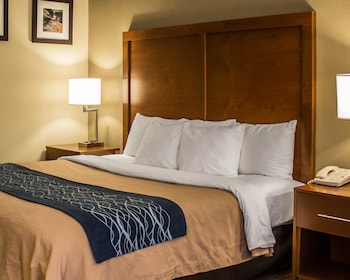 Room, 1 King Bed, Accessible, Non Smoking