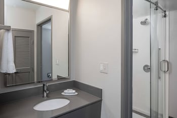 Room, 1 King Bed with Sofa bed (Mobility/Hearing Access, Roll-in Shwr)