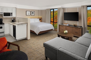 Studio Suite, 1 Queen Bed, Non Smoking, Kitchen