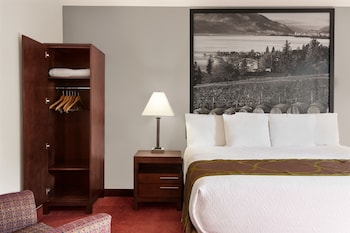 Standard Room, 1 King Bed, Non Smoking (No Pets)