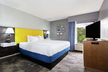 Suite, 1 King Bed with Sofa bed, Accessible (Hearing Impaired with Sofa and Shower)
