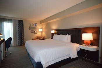 Suite, 1 King Bed with Sofa bed, Non Smoking