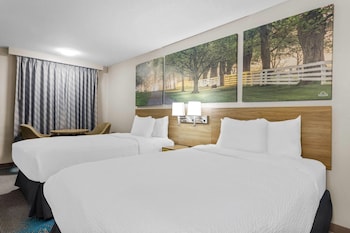 Double Room, 2 Double Beds