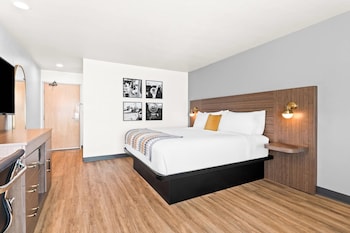 Standard Room, 1 King Bed with Sofa bed, Non Smoking