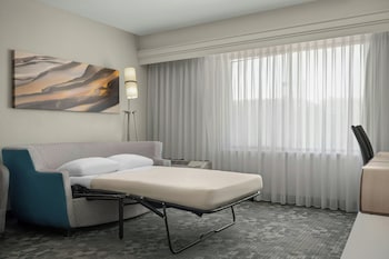 Room, 1 King Bed with Sofa bed