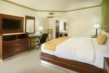 Standard Room, 1 Double Bed, Non Smoking