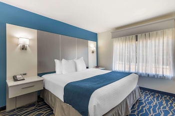 Room, 1 King Bed, Non Smoking, Refrigerator & Microwave