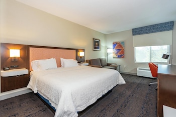 Room, 1 King Bed, Non Smoking