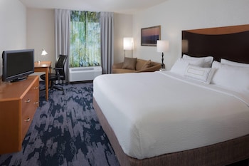 Room, 1 King Bed with Sofa bed