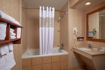 Standard 1 King Bed with Spa