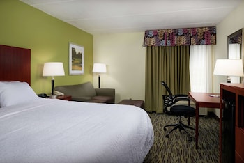 Standard 1 King Bed with a Sofa Bed