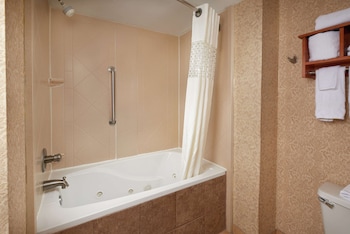 Standard 1 King Bed with Spa