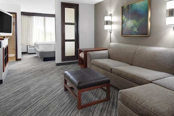 Room, 1 King Bed, Accessible Bathtub